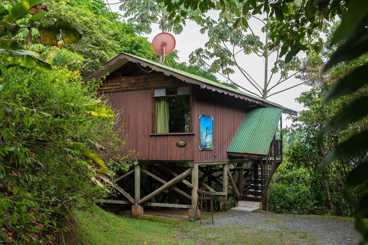 Cabanas El Bosque Туриалба Екстериор снимка