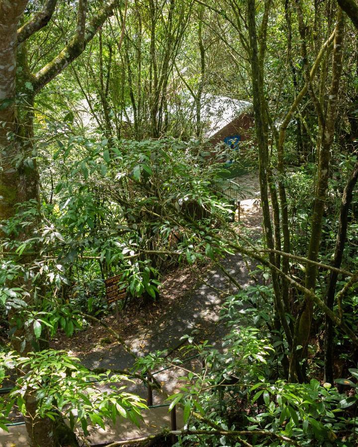 Cabanas El Bosque Туриалба Екстериор снимка