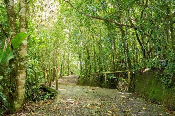 Cabanas El Bosque Туриалба Екстериор снимка